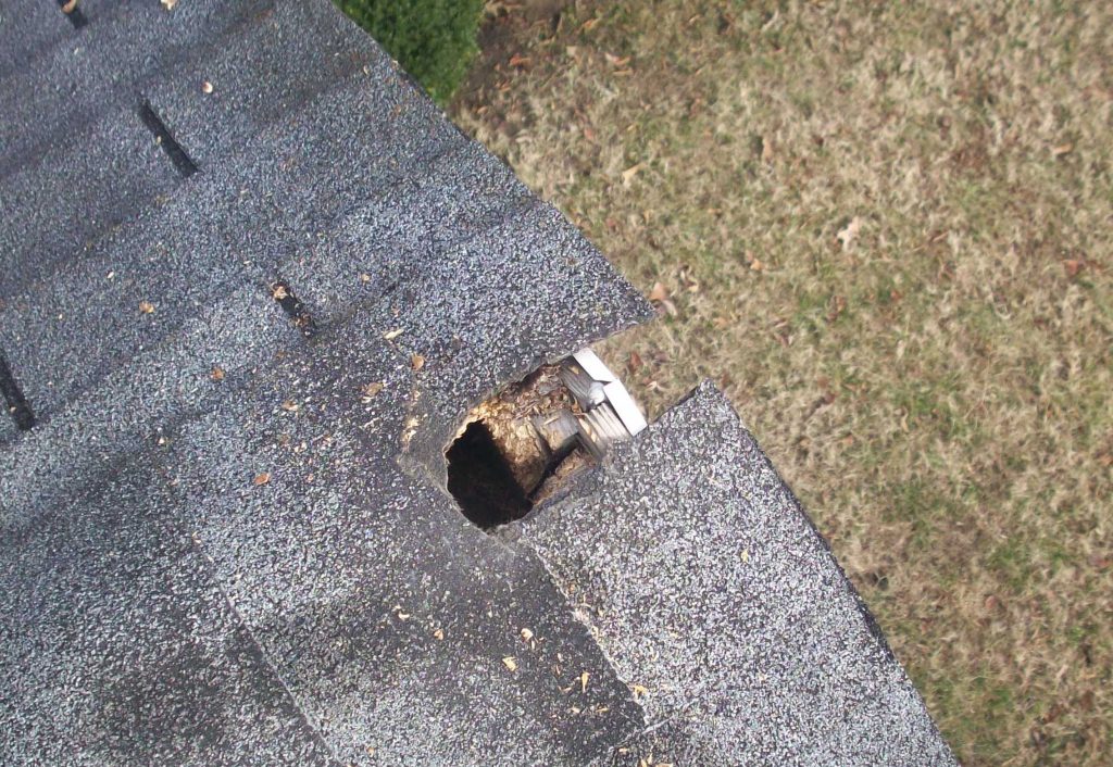 Gray Squirrel Damage